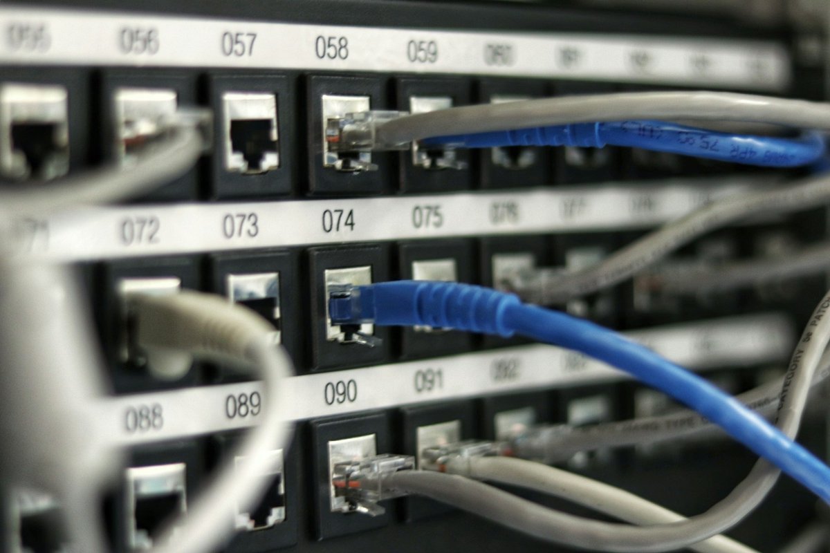Numbered patch panel ports with network cables plugged in