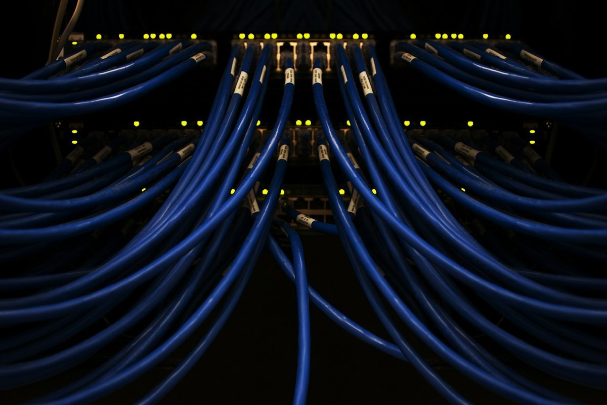 Dense bundles of blue network cables patched into a lit server rack
