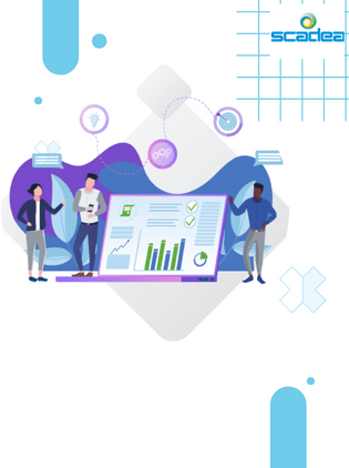 Appian consulting