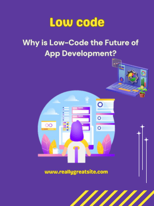 Why is Low-Code the Future of App Development